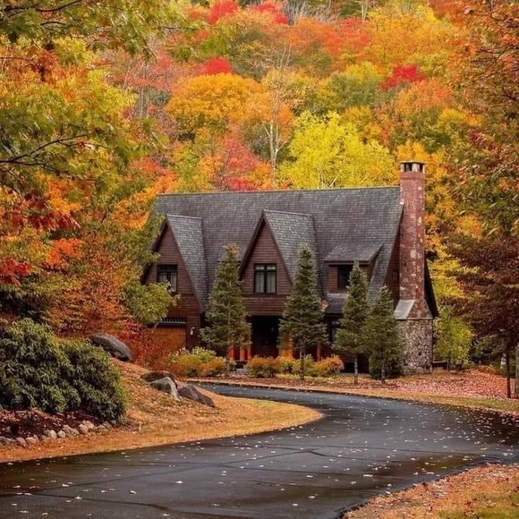 Meet your Posher, Emma - Picture 1 of 1